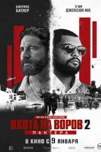Охота на воров 2: Пантера