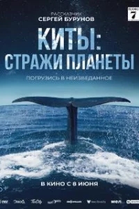 Киты: Стражи планеты